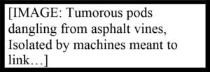 Alongside this section, text enclosed in a thick black rectangle: [IMAGE: Tumorous pods dangling from asphalt vines, Isolated by machines meant to link…]
