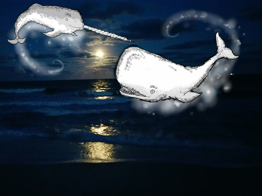 drawing of a sperm whale and narwhale floating in frot of a dark photograph of a moon on the horizon, its reflection off the water