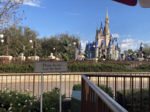 photo from author of Disney World February 2025. A clear blue sky with a smattering of white clouds with a castle with blue-tipped pointed towers. Trees and spiral topiary frame the sides and front of the castle. A path crosses the front with a sign with "Please do not feed the birds" on a fence